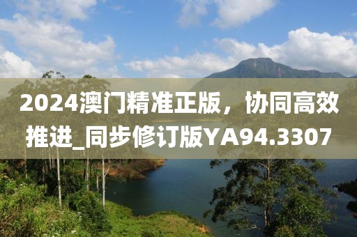 2024澳門精準(zhǔn)正版,協(xié)同高效推進(jìn)_同步修訂版YA94.3307