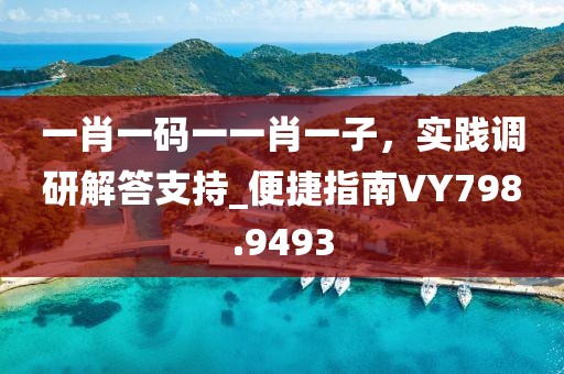 一肖一碼一一肖一子,實踐調研解答支持_便捷指南VY798.9493
