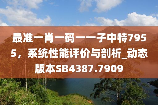 最準一肖一碼一一子中特7955,系統性能評價與剖析_動態(tài)版本SB4387.7909