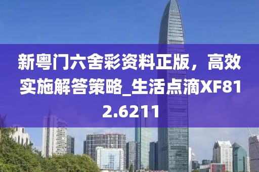 新粵門六舍彩資料正版,高效實施解答策略_生活點滴XF812.6211