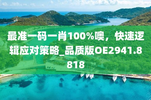最準一碼一肖100%噢,快速邏輯應對策略_品質版OE2941.8818