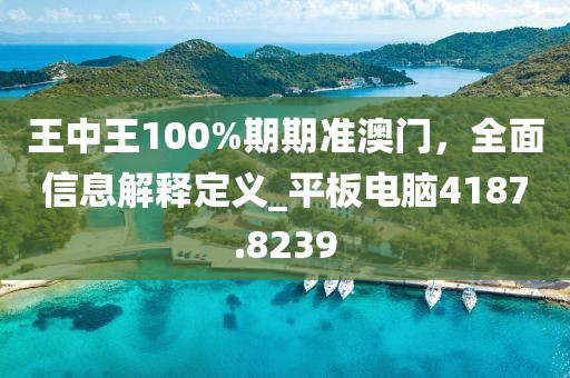王中王100%期期準澳門,全面信息解釋定義_平板電腦4187.8239