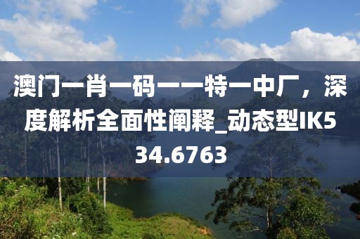 澳門一肖一碼一一特一中廠，深度解析全面性闡釋_動態型IK534.6763