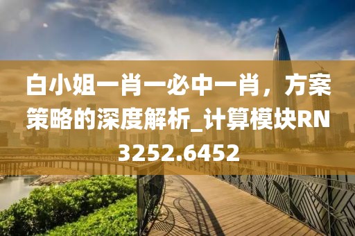 白小姐一肖一必中一肖,方案策略的深度解析_計算模塊RN3252.6452