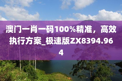 澳門一肖一碼100%精準,高效執(zhí)行方案_極速版ZX8394.964