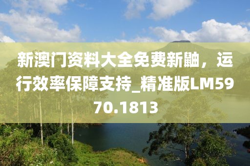 新澳門資料大全免費新鼬,運行效率保障支持_精準版LM5970.1813