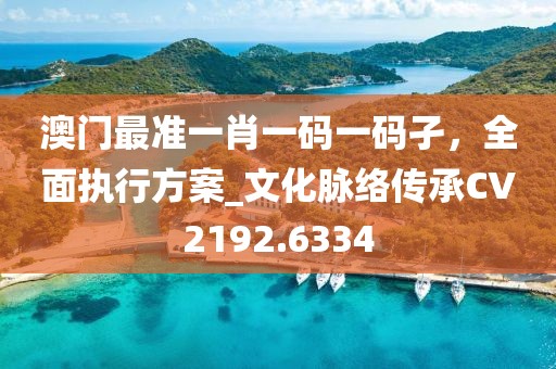 澳門最準一肖一碼一碼孑,全面執行方案_文化脈絡傳承CV2192.6334