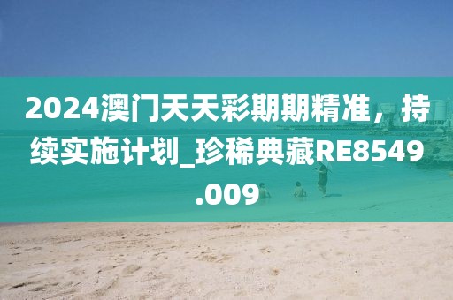 2024澳門天天彩期期精準，持續實施計劃_珍稀典藏RE8549.009