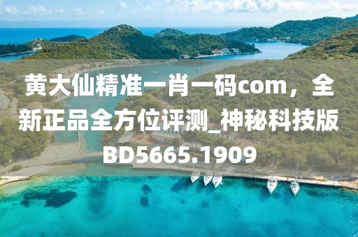 黃大仙精準一肖一碼com,全新正品全方位評測_神秘科技版BD5665.1909