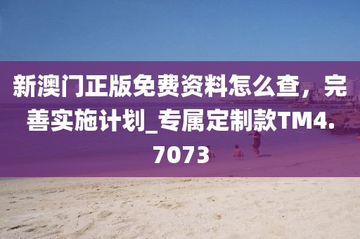 新澳門正版免費資料怎么查,完善實施計劃_專屬定制款TM4.7073