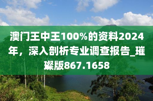 澳門王中王100%的資料2024年,深入剖析專業(yè)調查報告_璀璨版867.1658