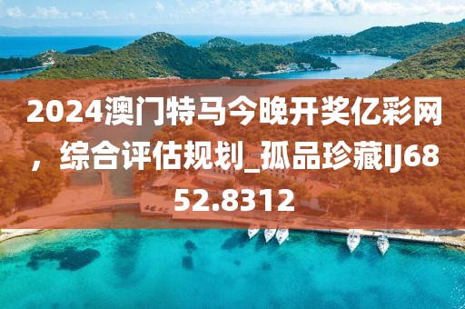 2024澳門特馬今晚開獎億彩網,綜合評估規劃_孤品珍藏IJ6852.8312