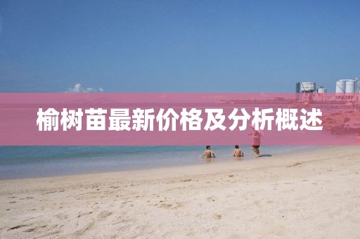 榆樹苗最新價(jià)格及分析概述