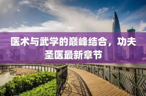 醫術與武學的巔峰結合,功夫圣醫最新章節