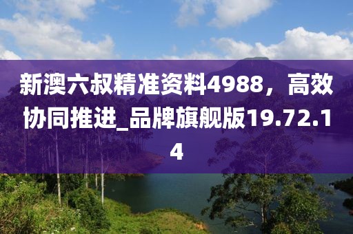 新澳六叔精準資料4988,高效協同推進_品牌旗艦版19.72.14