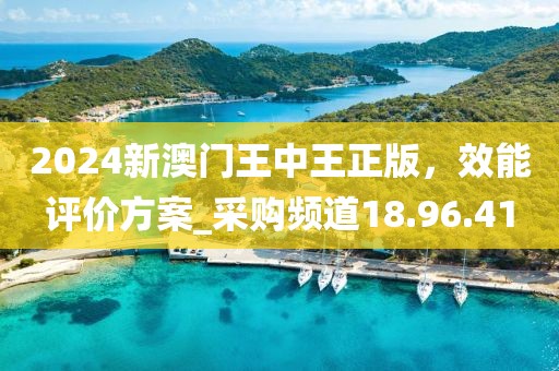 2024新澳門王中王正版,效能評價方案_采購頻道18.96.41