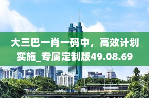 大三巴一肖一碼中,高效計劃實(shí)施_專屬定制版49.08.69