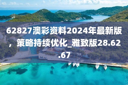 62827澳彩資料2024年最新版,策略持續優化_雅致版28.62.67