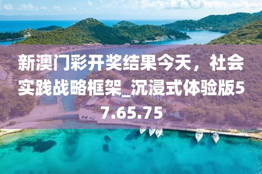 新澳門彩開獎結果今天,社會實踐戰略框架_沉浸式體驗版57.65.75