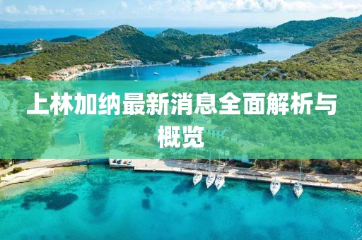上林加納最新消息全面解析與概覽