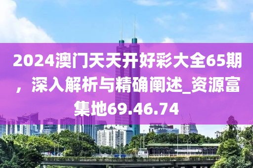 2024澳門天天開(kāi)好彩大全65期,深入解析與精確闡述_資源富集地69.46.74
