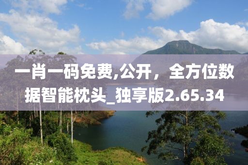 一肖一碼免費,公開,全方位數據智能枕頭_獨享版2.65.34