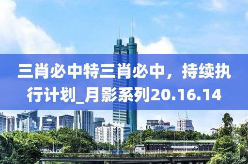 三肖必中特三肖必中,持續(xù)執(zhí)行計(jì)劃_月影系列20.16.14