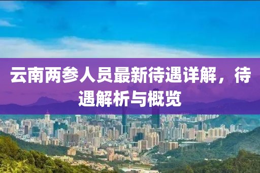 云南兩參人員最新待遇詳解,待遇解析與概覽