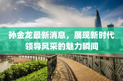 孫金龍最新消息,展現(xiàn)新時(shí)代領(lǐng)導(dǎo)風(fēng)采的魅力瞬間