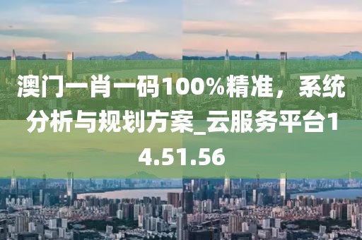 澳門一肖一碼100%精準，系統分析與規劃方案_云服務平臺14.51.56