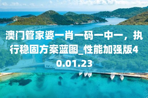 澳門管家婆一肖一碼一中一,執行穩固方案藍圖_性能加強版40.01.23