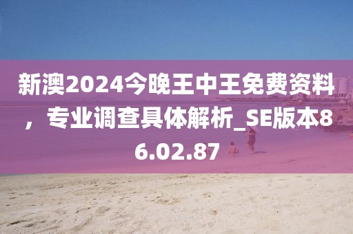 新澳2024今晚王中王免費資料,專業調查具體解析_SE版本86.02.87