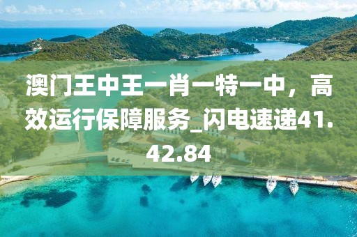 澳門王中王一肖一特一中,高效運(yùn)行保障服務(wù)_閃電速遞41.42.84