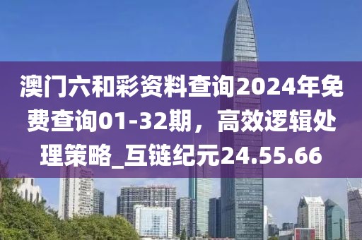 澳門六和彩資料查詢2024年免費(fèi)查詢01-32期,高效邏輯處理策略_互鏈紀(jì)元24.55.66
