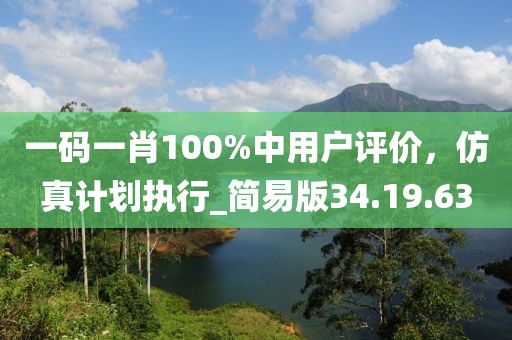 一碼一肖100%中用戶評價(jià)，仿真計(jì)劃執(zhí)行_簡易版34.19.63