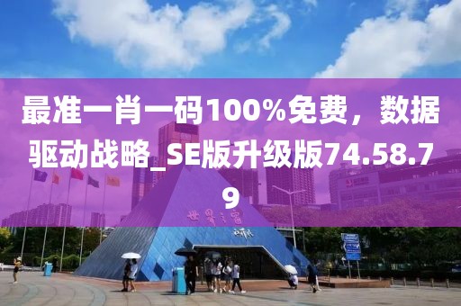 最準一肖一碼100%免費,數據驅動戰略_SE版升級版74.58.79