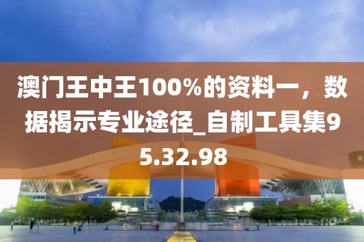 澳門(mén)王中王100%的資料一,數(shù)據(jù)揭示專業(yè)途徑_自制工具集95.32.98