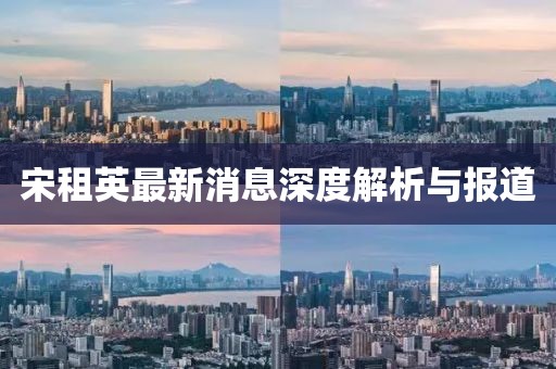 宋租英最新消息深度解析與報道