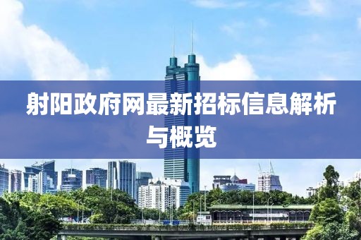 射陽政府網最新招標信息解析與概覽