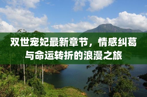 雙世寵妃最新章節,情感糾葛與命運轉折的浪漫之旅