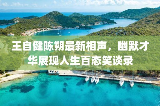 王自健陳朔最新相聲,幽默才華展現人生百態笑談錄