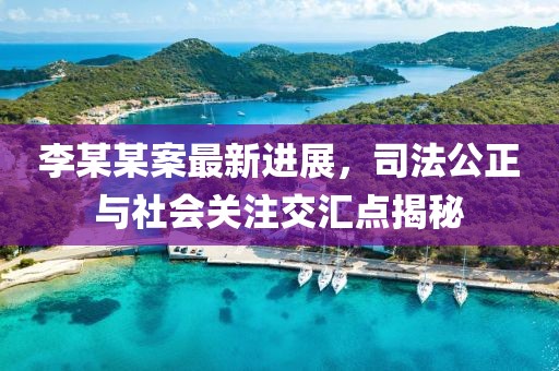 李某某案最新進展，司法公正與社會關(guān)注交匯點揭秘