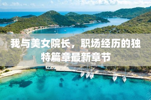我與美女院長,職場經歷的獨特篇章最新章節