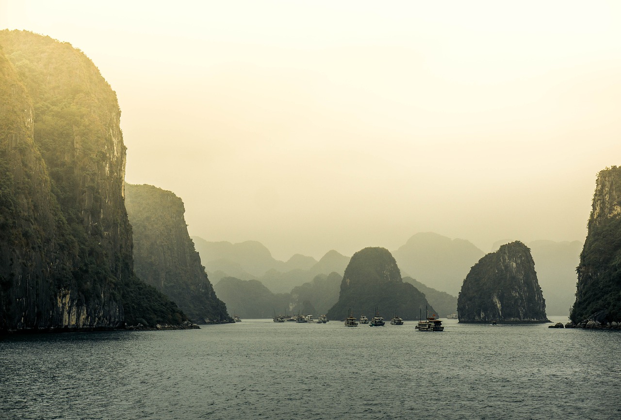 AVY最新動態(tài),潮流前沿的創(chuàng)新引領