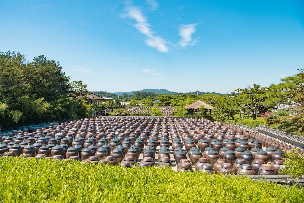 探索新時(shí)代羊毛產(chǎn)業(yè)機(jī)遇與挑戰(zhàn),最新擼羊毛動(dòng)態(tài)分析