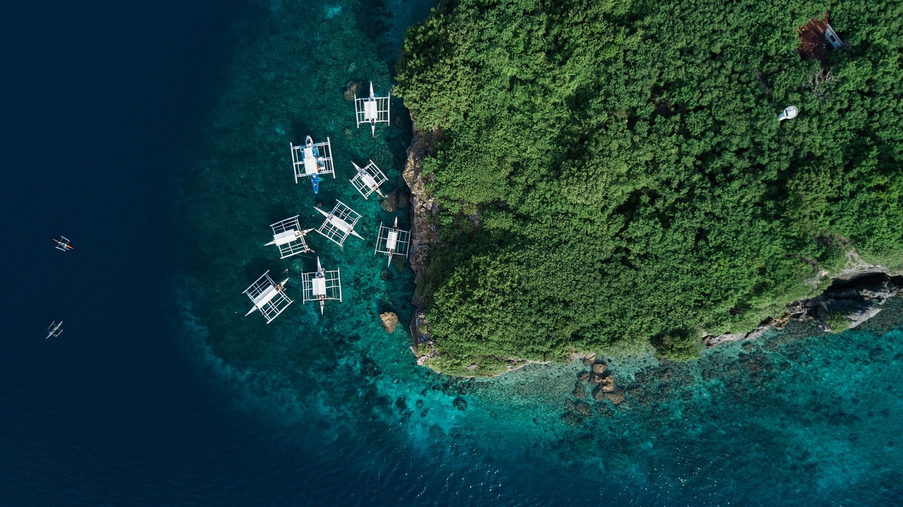 探索與樂趣的海洋之旅,鉤魚最新視頻揭秘!