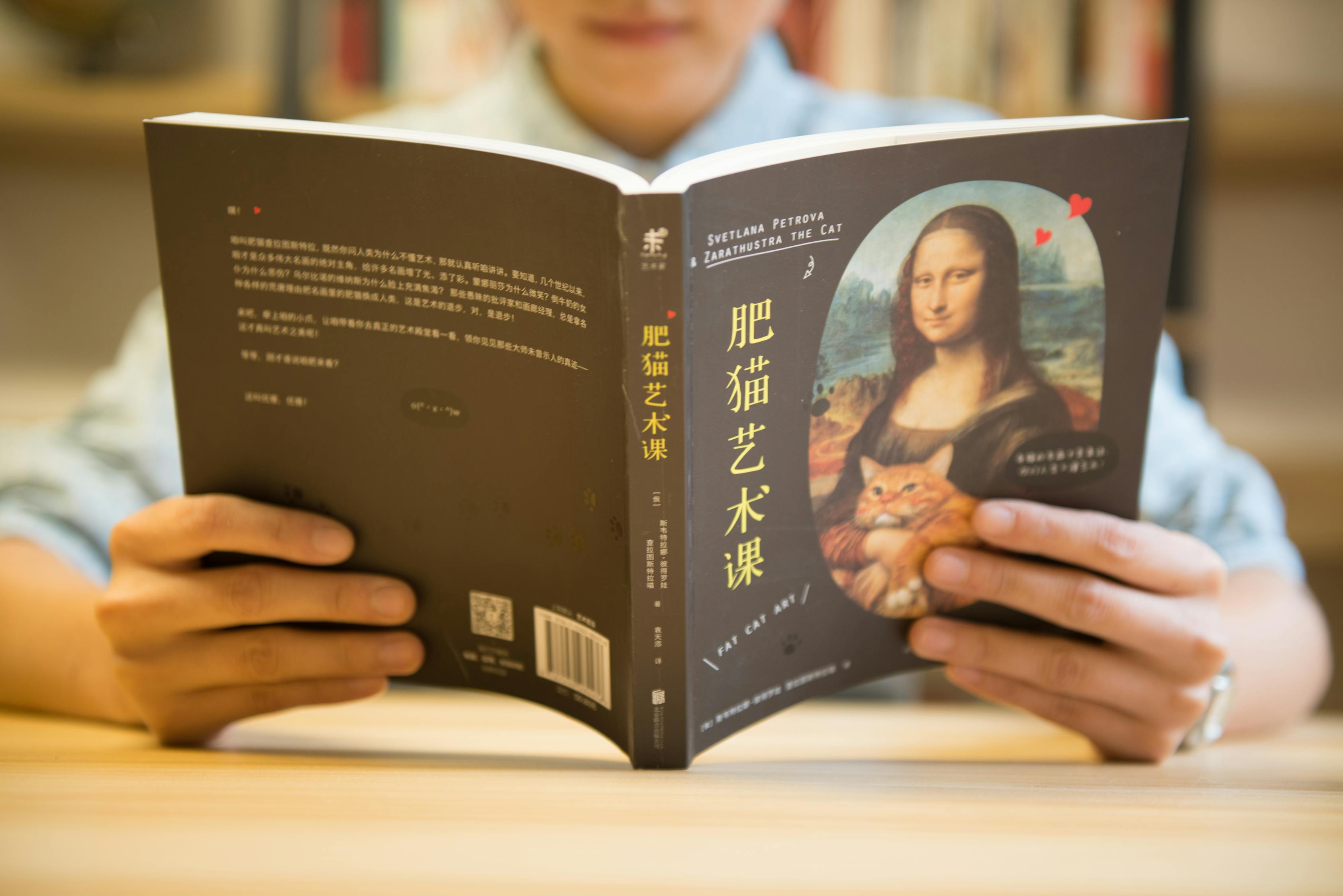 新奧好彩免費資料查詢,即時解答方案處理_教育頻道TZ205.6291