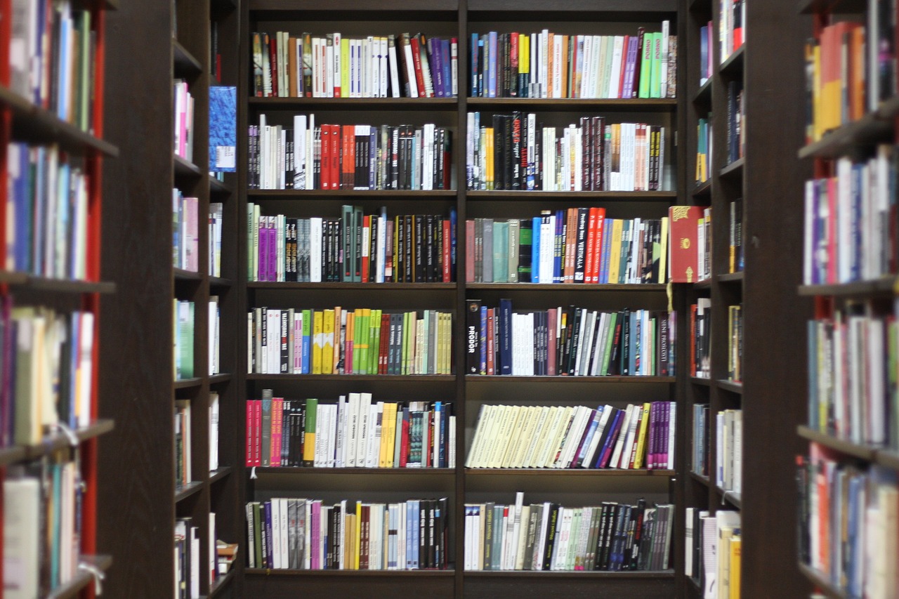 個人圖書館下載最新版,探索知識的新途徑