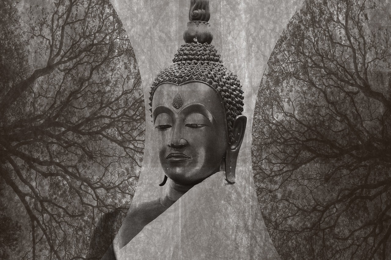 探尋神秘世界的奇異之旅——我以陰府鎮陽間最新章節解析