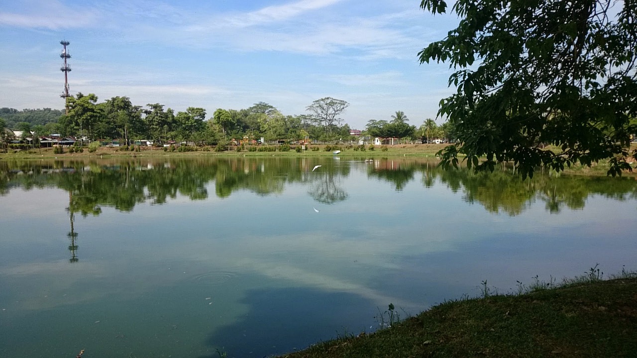 沈陽市公租房最新動態解讀,全面更新與解讀沈陽市公租房最新消息
